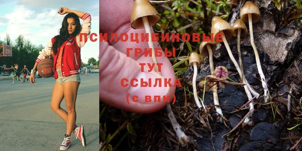 скорость Алексеевка