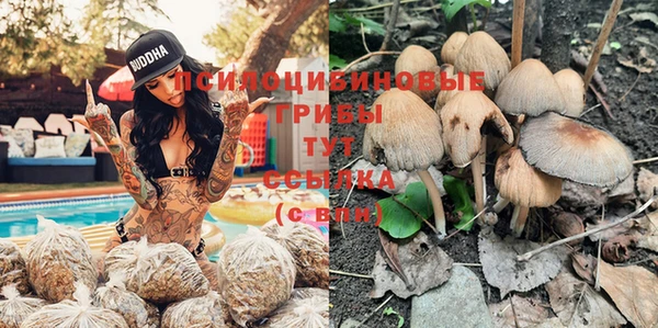 мет Алексин