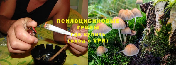 скорость Алексеевка