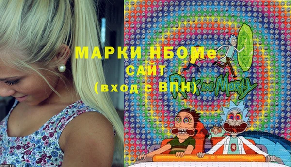 мет Алексин