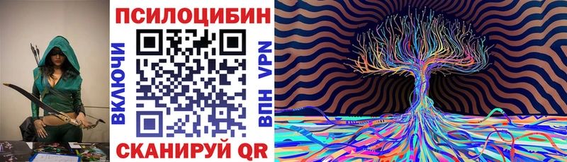 Галлюциногенные грибы мухоморы  Пошехонье 